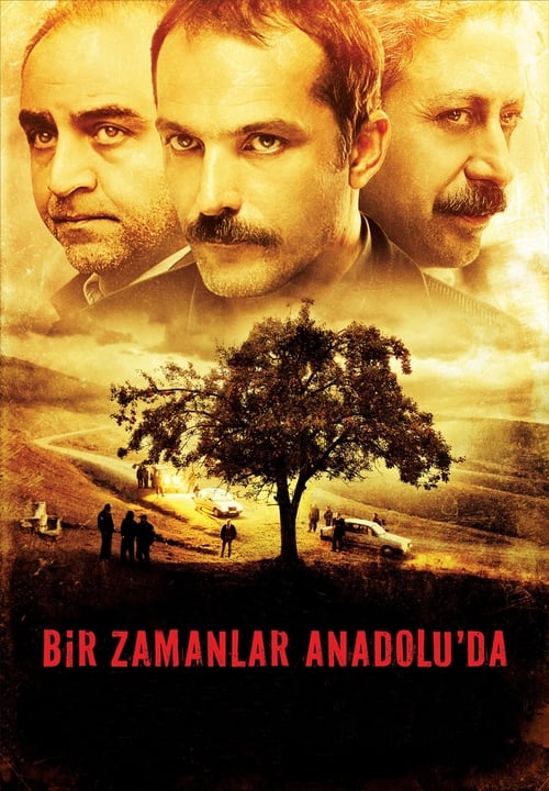 Bir Zamanlar Anadolu’da (2011)